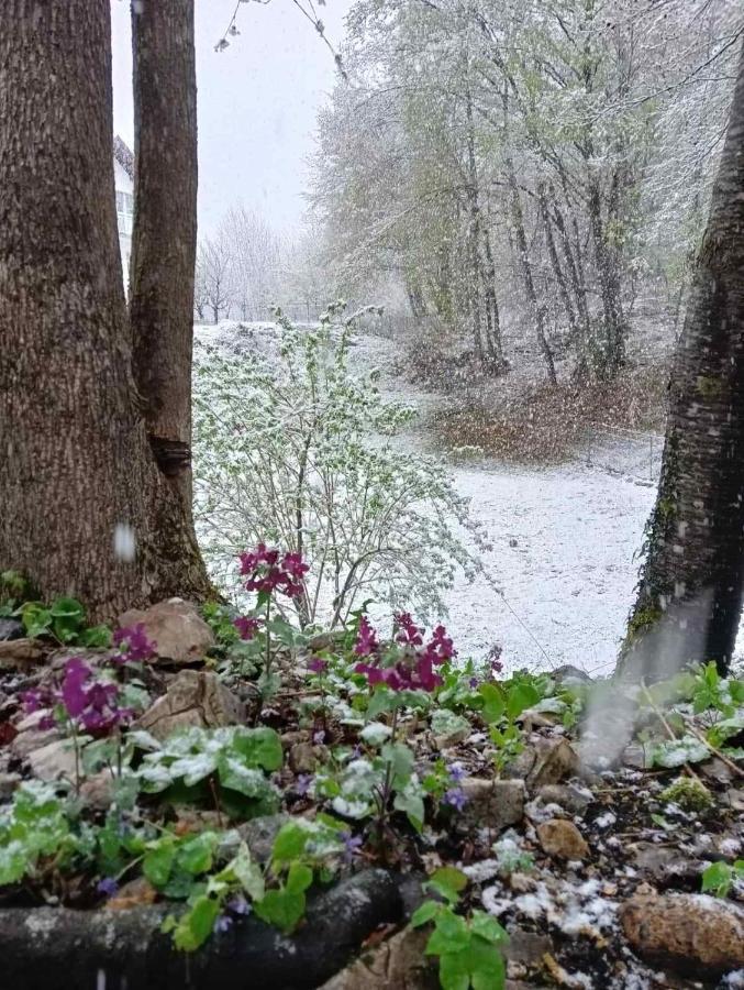 Plitvice Oaza Mira Villa Smoljanac Exterior foto